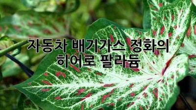 자동차 배기가스 정화의 히어로, 팔라듐
