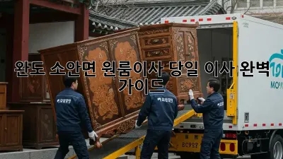 완도 소안면 원룸이사, 당일 이사 완벽 가이드!